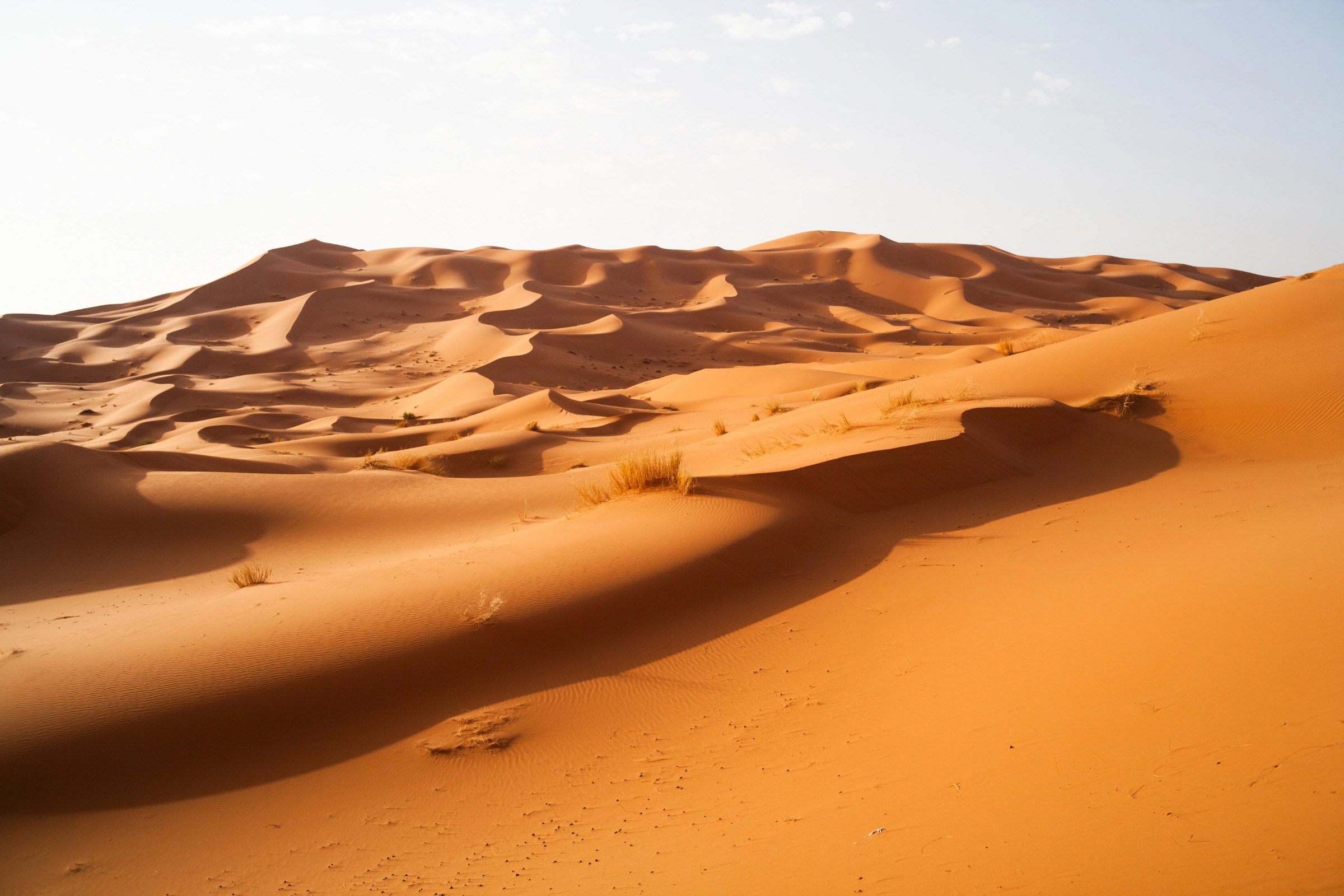 Merzouga[1].webp